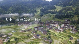 大土2肉鸡怎么控料？