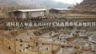 请问有人知道大兴区闫玉凤肉鸽养殖基地的祥细地址吗？