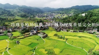 1珍珠养殖场收获 240 颗外观及重量完全相同的特大珍珠, 仅有微小差异的假珠换掉 1 颗。1人随手取出 3 颗...