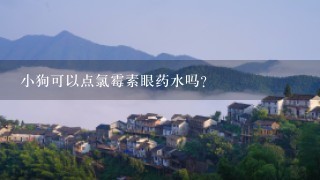 小狗可以点氯霉素眼药水吗？