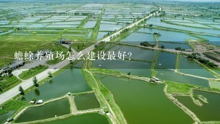 蟾蜍养殖场怎么建设最好？