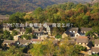 2017在山上养殖土鸡，前景怎样？