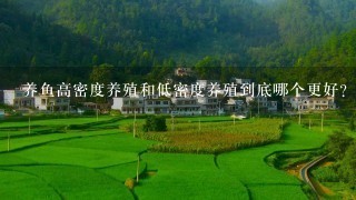 养鱼高密度养殖和低密度养殖到底哪个更好？