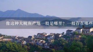 像这种大鱿鱼产地1般是哪里？1般存在哪些海域