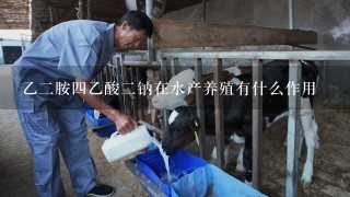 乙2胺4乙酸2钠在水产养殖有什么作用