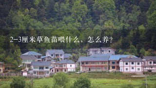 2-3厘米草鱼苗喂什么，怎么养？