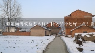 养殖肉鸽效益怎么样？什么品种还好1点？需要多少成本和流动资金，有无风险？