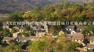 XX农村合作社肉牛养殖建设项目实施商业计划书