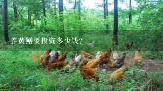 养黄鳝要投资多少钱？