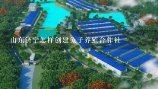 山东济宁怎样创建兔子养殖合作社