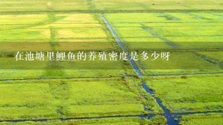 在池塘里鲤鱼的养殖密度是多少呀