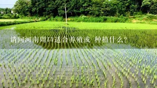 请问河南周口适合养殖或 种植什么？