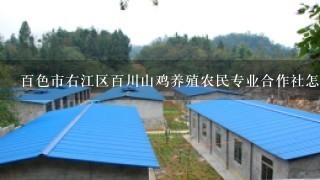 百色市右江区百川山鸡养殖农民专业合作社怎么样？