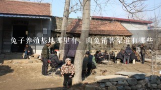 兔子养殖基地哪里有，肉兔销售渠道有哪些