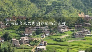 河南新乡永兴肉狗养殖场怎么样