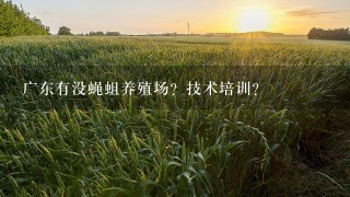 广东有没蝇蛆养殖场？技术培训？