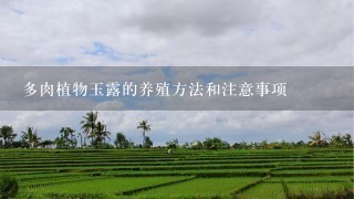 多肉植物玉露的养殖方法和注意事项