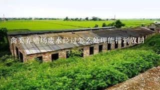 禽类养殖场废水经过怎么处理能排到农田