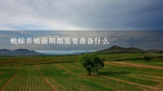 蟾蜍养殖前期都需要准备什么