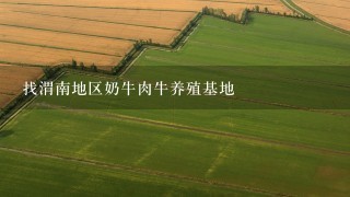 找渭南地区奶牛肉牛养殖基地