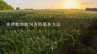 水律蛇幼蛇饲养的基本方法