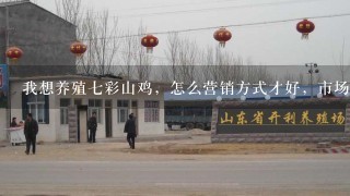 我想养殖7彩山鸡，怎么营销方式才好，市场前景怎么样？？