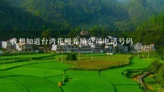 我想知道台湾花鳗养殖公司电话号码