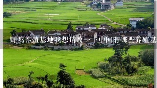 野鸡养殖基地我想请教1下中国有哪些养殖基地？最大的野鸡养殖基地在哪？