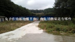 兔子养殖基地哪里有，肉兔销售渠道有哪些