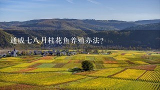 通威78月桂花鱼养殖办法？