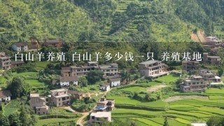 白山羊养殖 白山羊多少钱1只 养殖基地