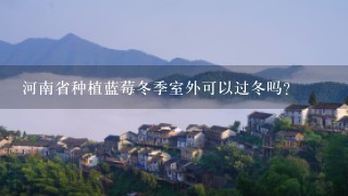 河南省种植蓝莓冬季室外可以过冬吗?