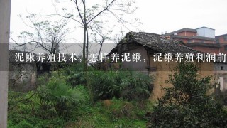 泥鳅养殖技术，怎样养泥鳅，泥鳅养殖利润前景