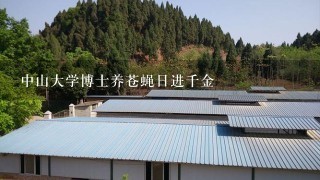 中山大学博士养苍蝇日进千金