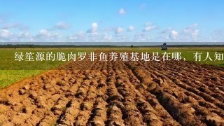 绿笙源的脆肉罗非鱼养殖基地是在哪，有人知道吗？