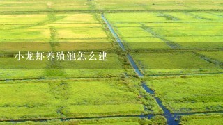 小龙虾养殖池怎么建