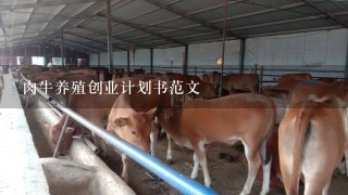 肉牛养殖创业计划书范文