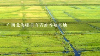 广西北海哪里有青蛙养殖基地