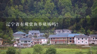 辽宁省有观赏鱼养殖场吗?