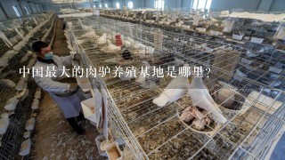 中国最大的肉驴养殖基地是哪里？