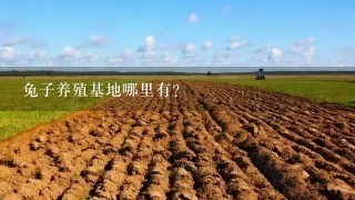 兔子养殖基地哪里有？