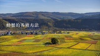 螃蟹的养殖方法