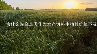 为什么说桡足类作为水产饵料生物其价值不及枝角类大