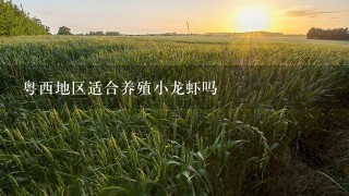 粤西地区适合养殖小龙虾吗