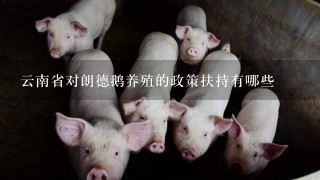 云南省对朗德鹅养殖的政策扶持有哪些