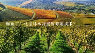 鳜鱼工厂化循环水高密度养殖技术？