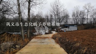 巩义市生态化蝎子养殖基地