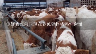 你好我想问问现在养狐狸挣钱吗？谢谢