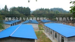 泥鳅适合北方大规模养殖吗？ 1年能出几季？