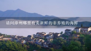 请问漳州哪里有卖新鲜的非养殖的海鲜